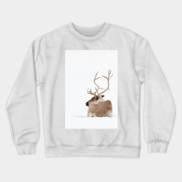 Reindeer Crewneck Sweatshirt by Jim Cumming